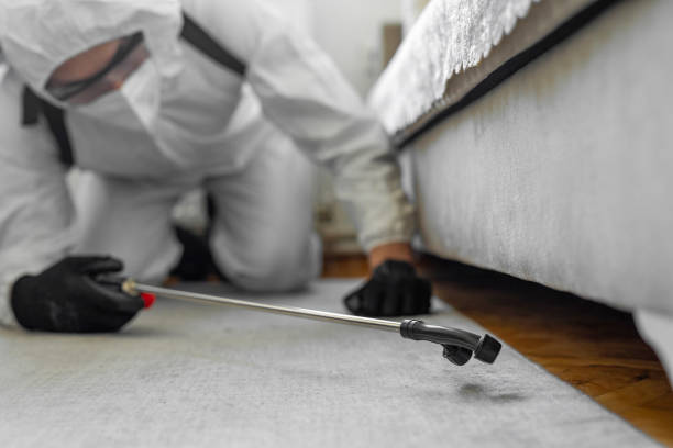 Professional Termite Control technician working in Freeport, NY